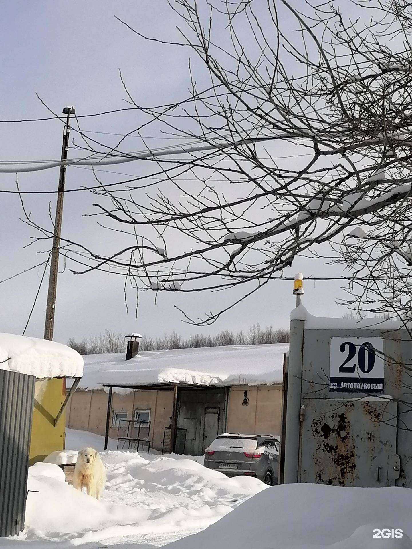 Отзывы на компанию Центр содержания животных в Мурманске c фото - фотография 2 из 2