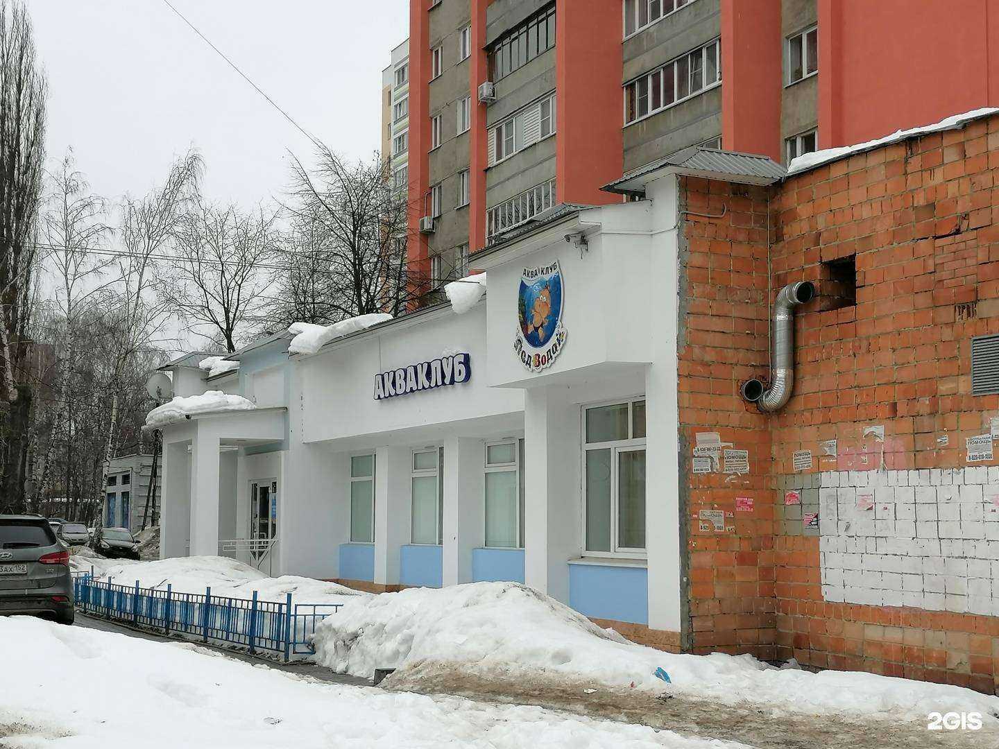 Отзывы на компанию Подводой в Нижнем Новгороде c фото