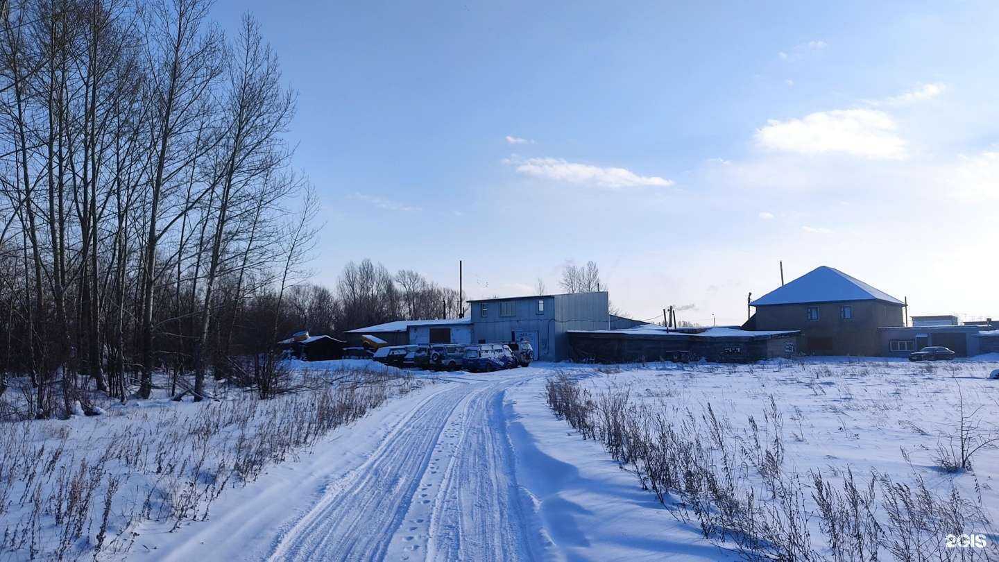 Отзывы на компанию Скат в г. Бийск c фото