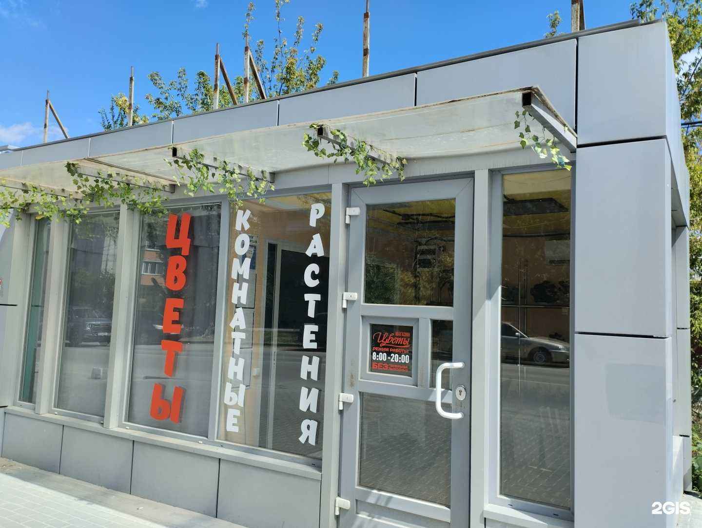 Отзывы на компанию Цветочный салон в г. Волгоград c фото