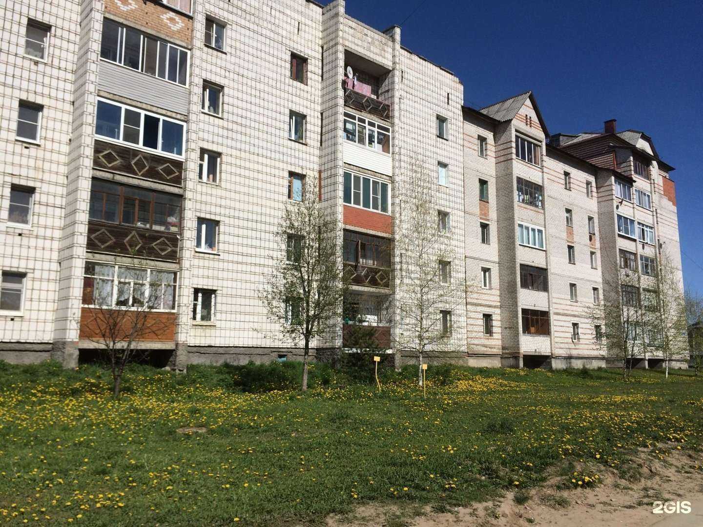 Отзывы на компанию Четыре лапы в Сыктывкаре c фото - фотография 2 из 2