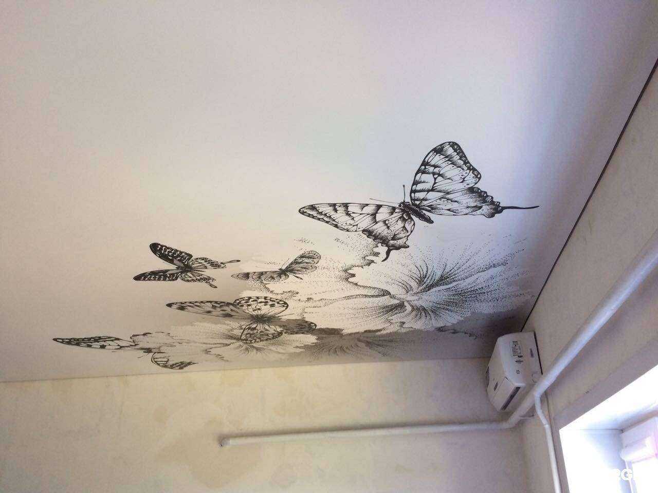 Отзывы на компанию Аванте в г. Сочи c фото