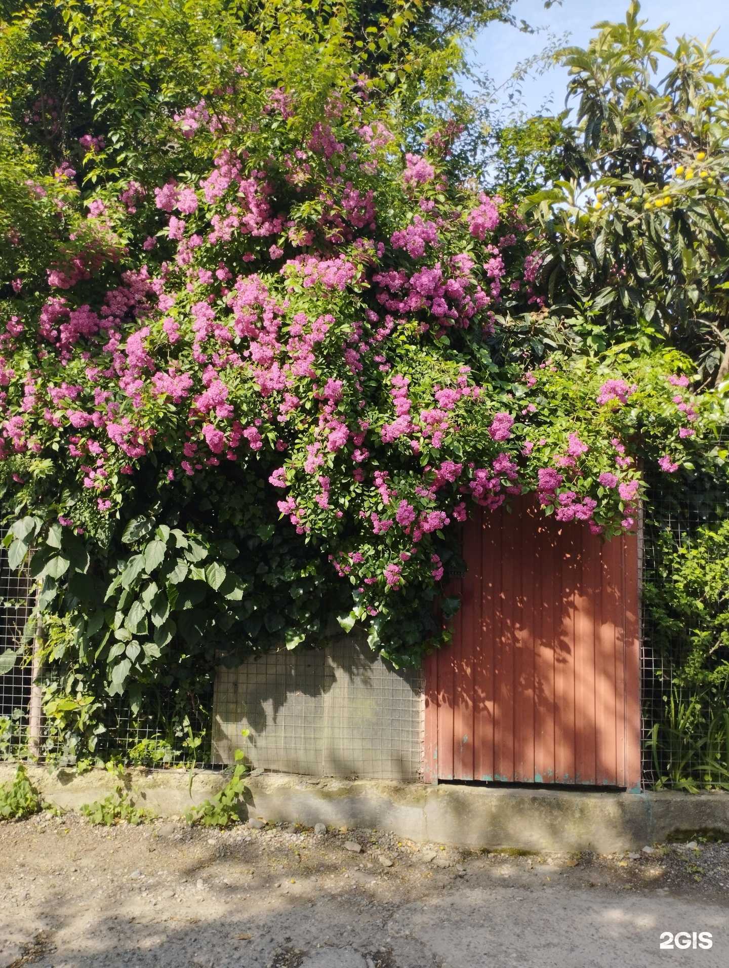 Отзывы на компанию Волжaнин в г. Сочи c фото