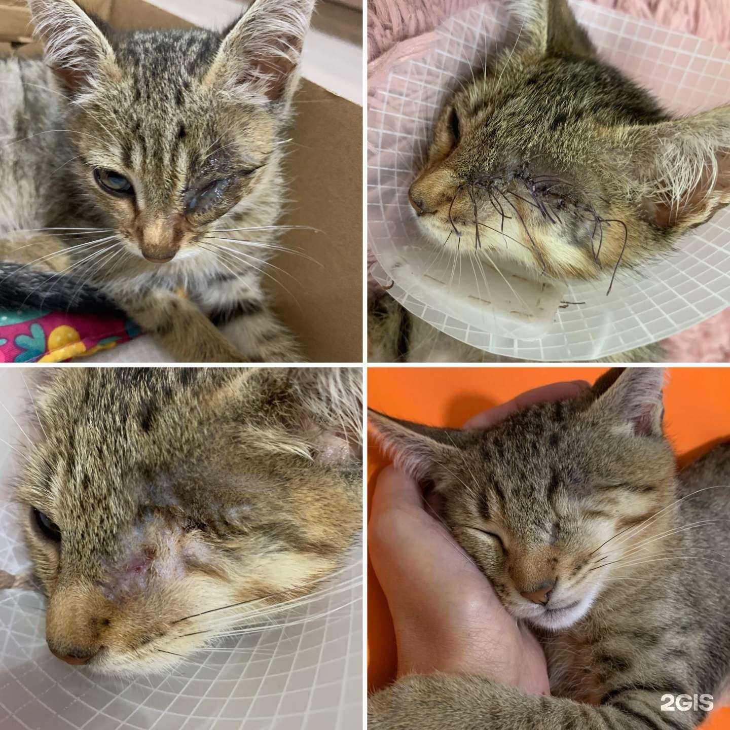 Отзывы на компанию VetЗов05 в Каспийске c фото