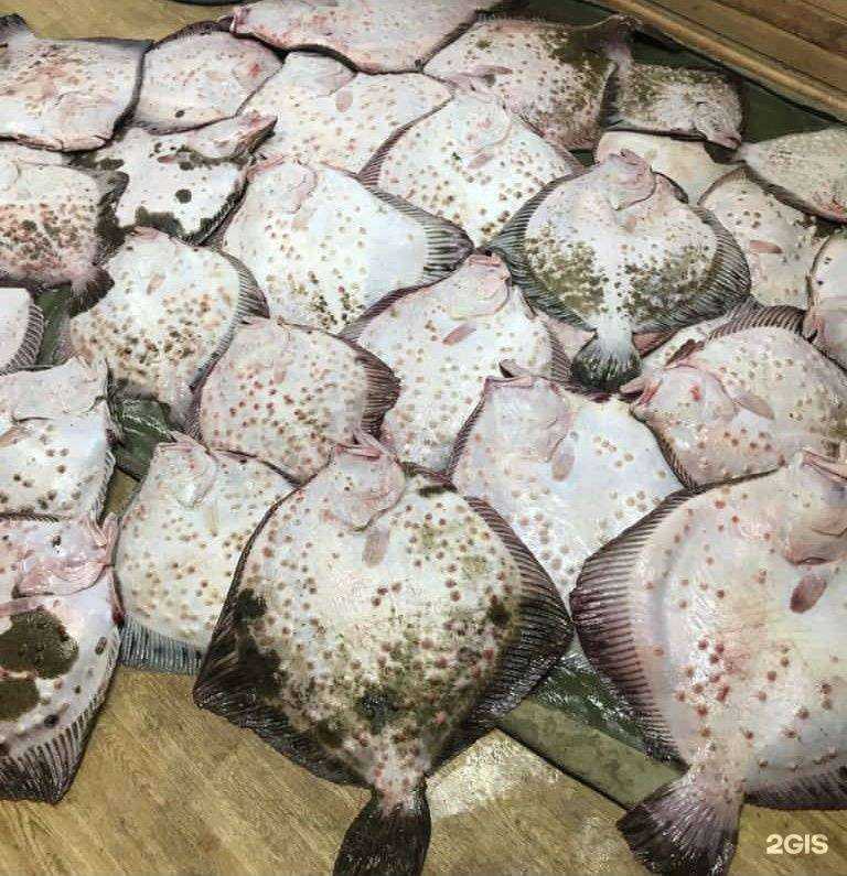 Отзывы на компанию #beer fest в г. Новороссийск c фото