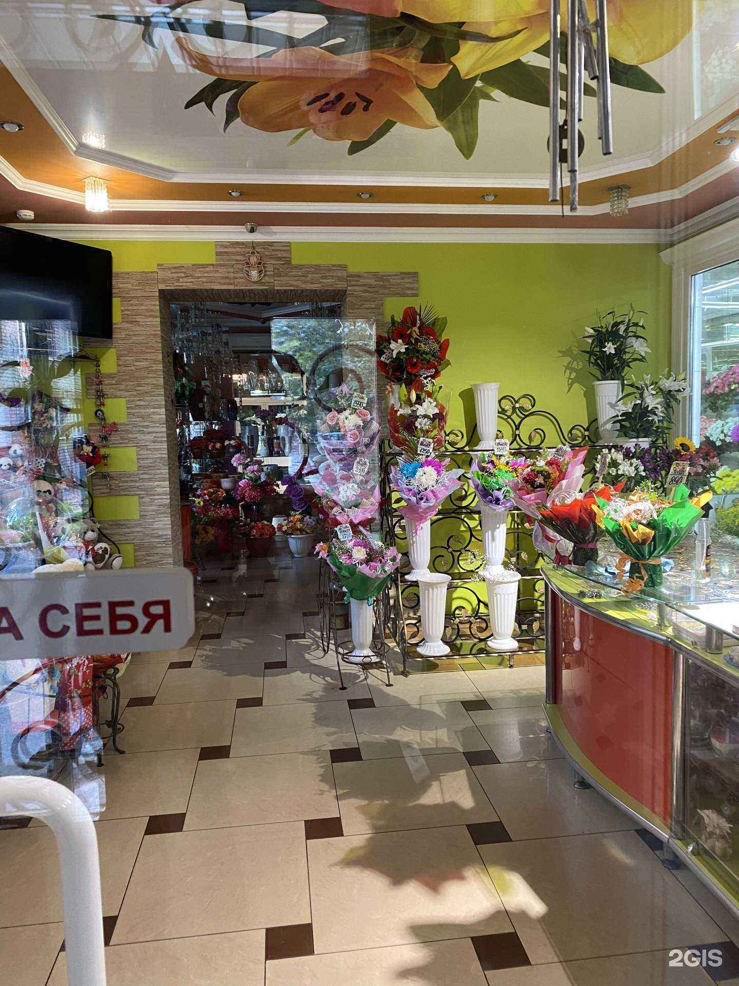 Отзывы на компанию Цветочный дворик в г. Череповец c фото