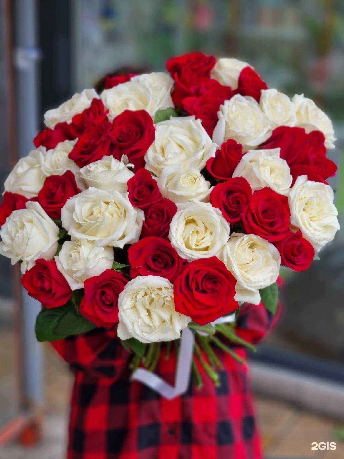 Отзывы на компанию Цветы даром в Ростове-на-Дону c фото