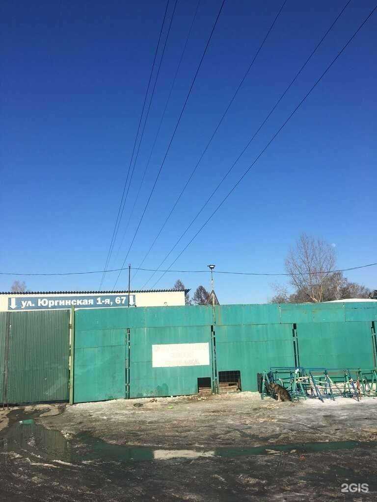 Отзывы на компанию Igloo time в Новосибирске c фото - фотография 2 из 2