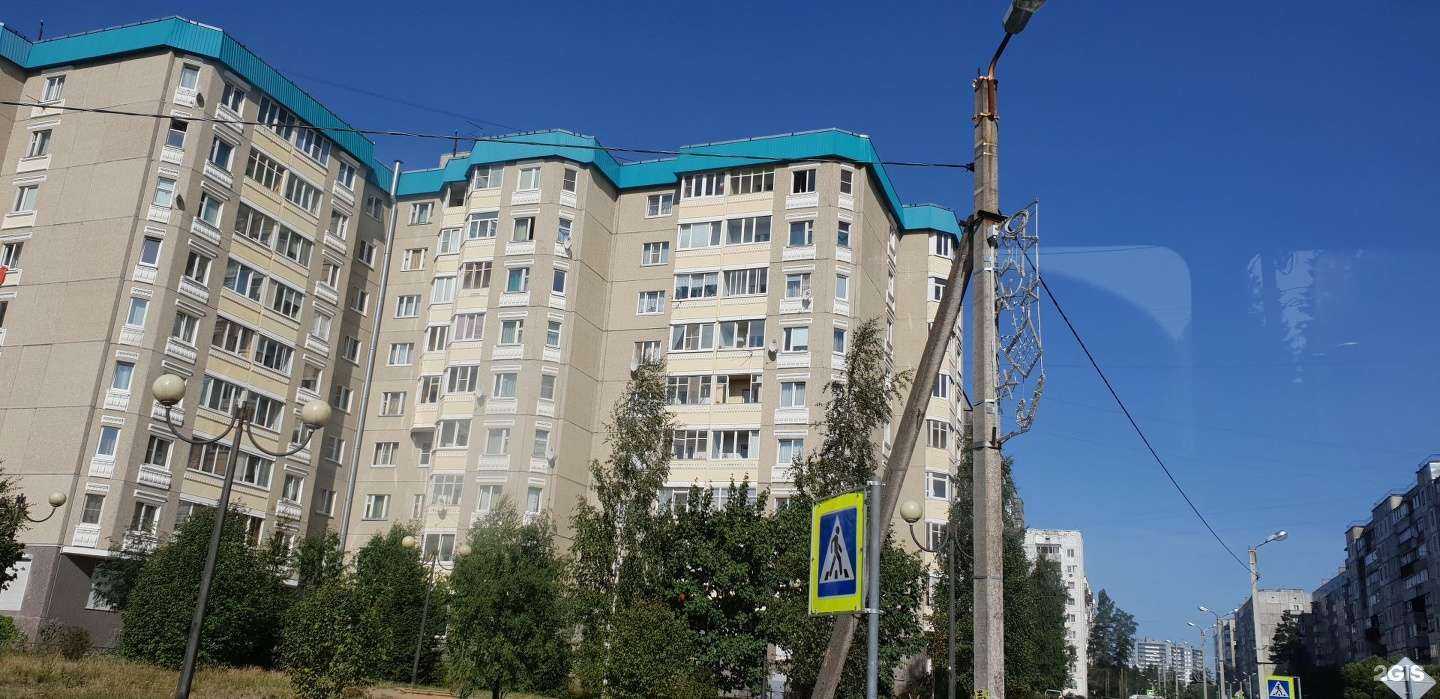 Отзывы на компанию Эрудит в Сертолове c фото - фотография 2 из 2