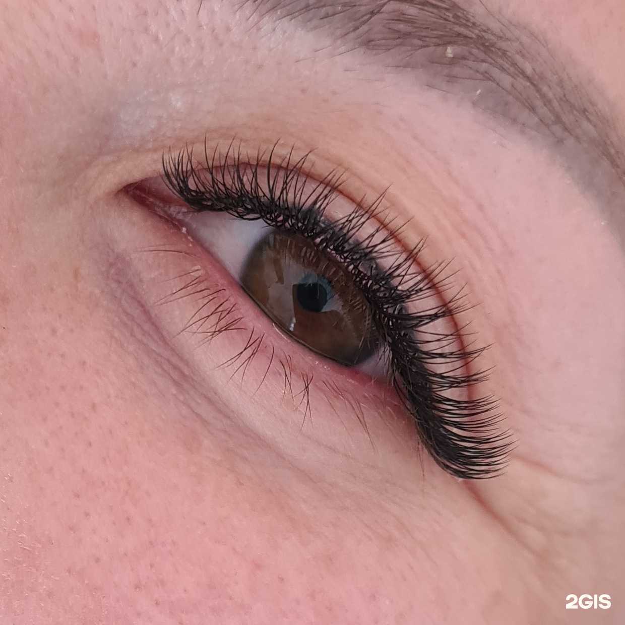 Отзывы на компанию Shunkova_lashes в Улан-Удэ c фото