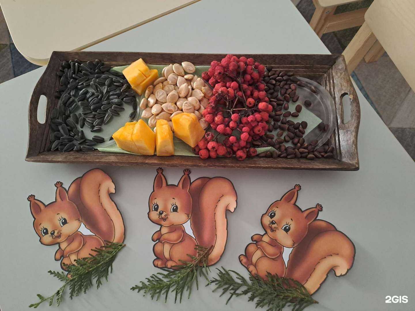 Отзывы на компанию Умняшки в г. Барнаул c фото