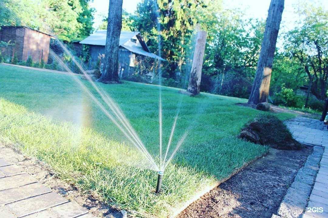 Отзывы на компанию Первая академия сада в г. Сергиев Посад c фото