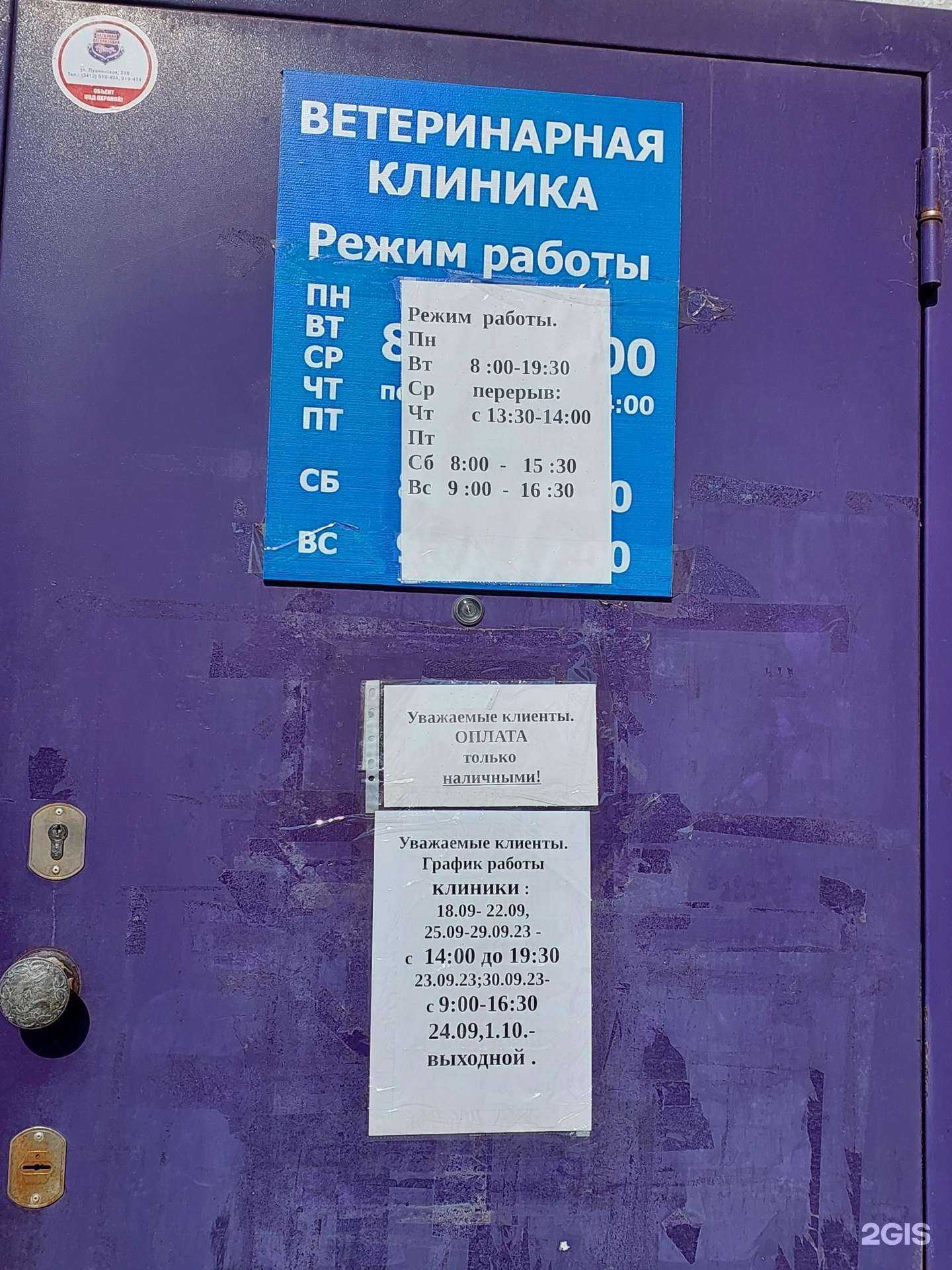 Отзывы на компанию Ветеринарная клиника в г. Ижевск c фото