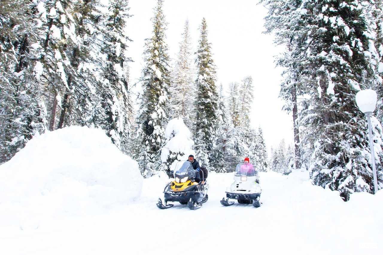 Отзывы на компанию Алтайгеотур в г. Барнаул c фото
