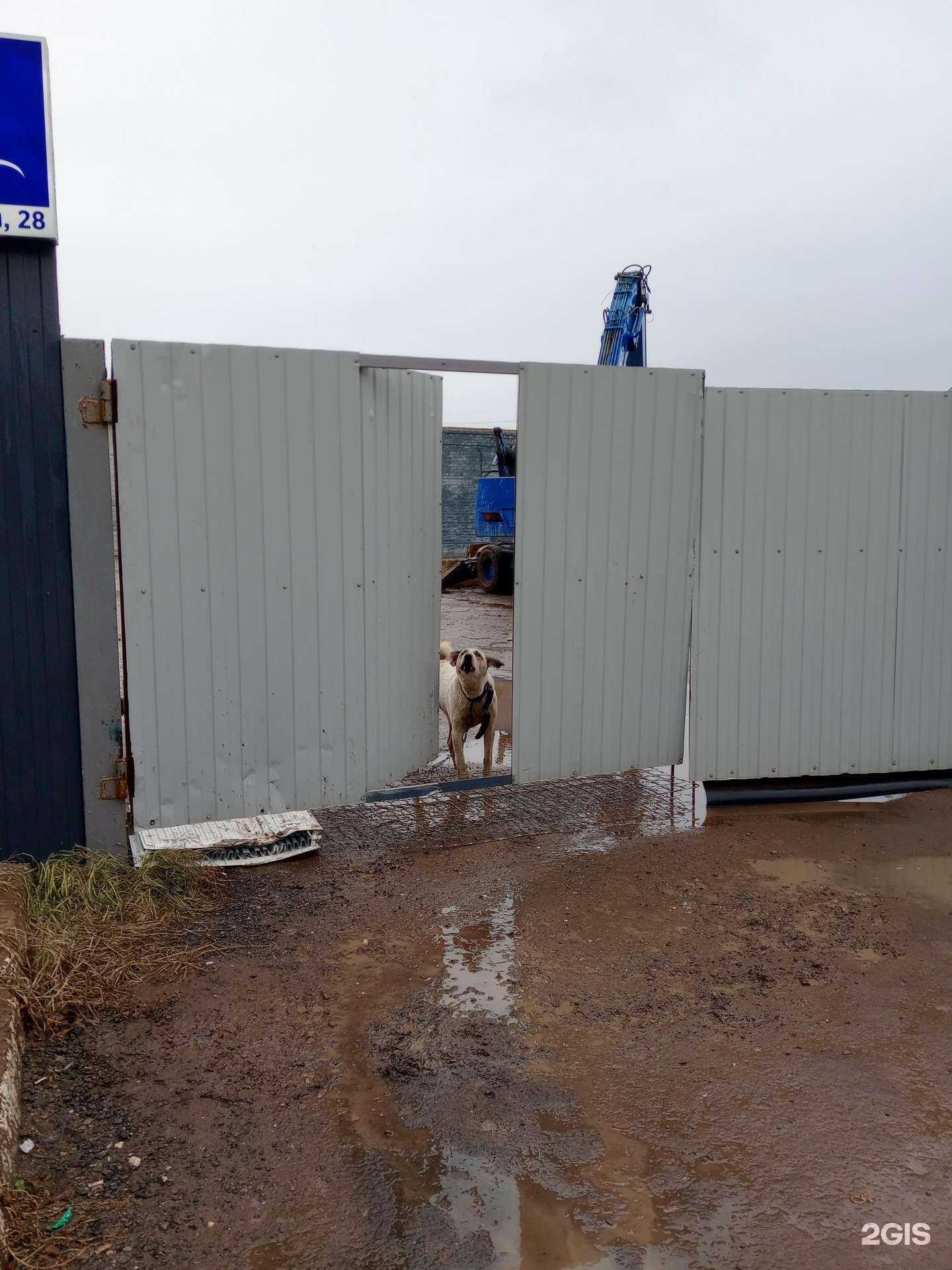 Отзывы на компанию Волгоградская сырьевая компания в Волгограде c фото