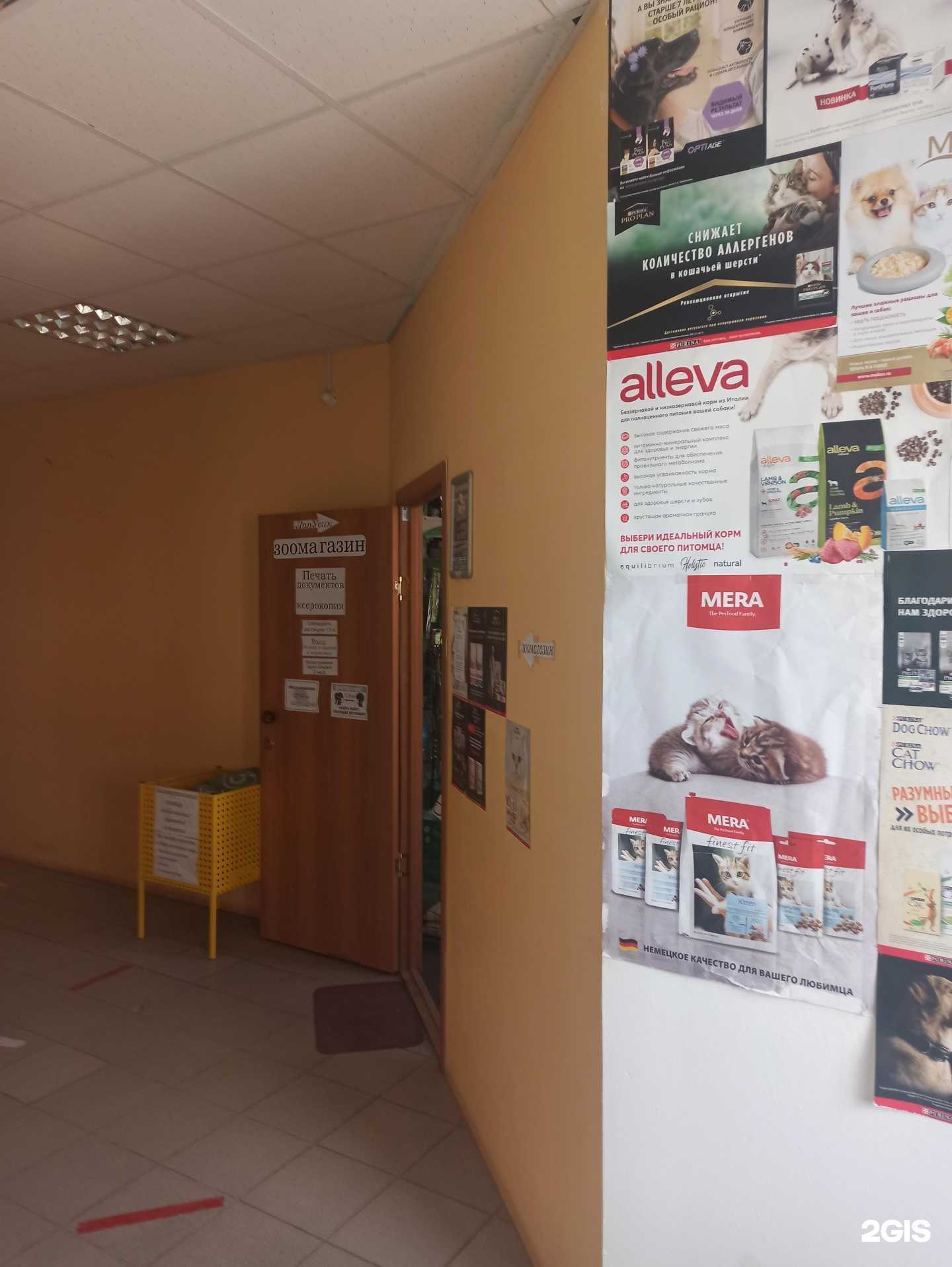 Отзывы на компанию ЛапУсик в г. Краснокамск c фото