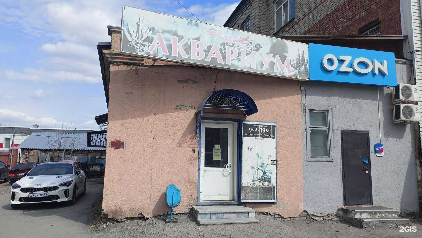 Отзывы на компанию 585*Золотой в Кургане c фото - фотография 2 из 2