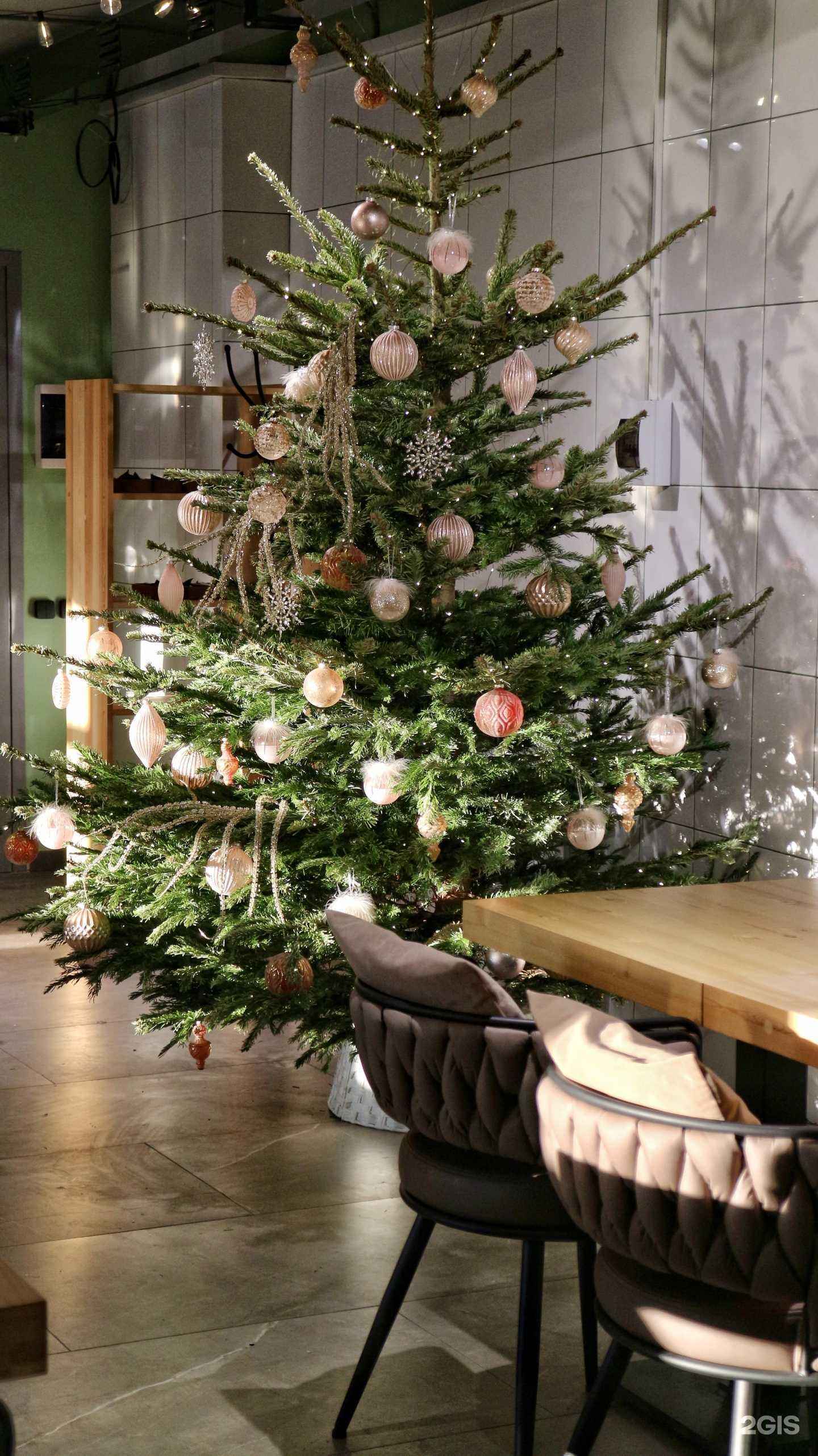 Отзывы на компанию Бистро в Чите c фото