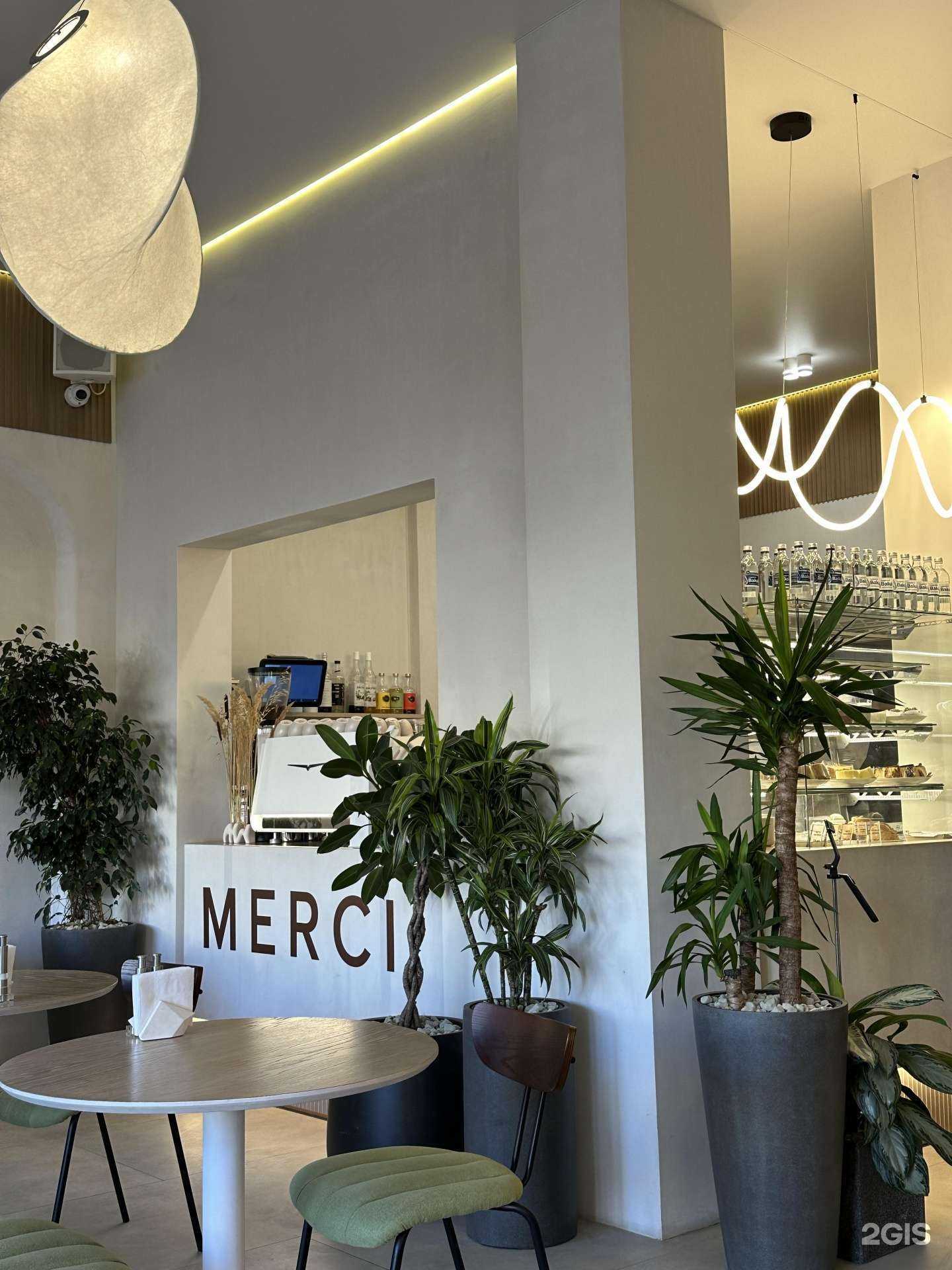 Отзывы на компанию Merci в Пятигорске c фото