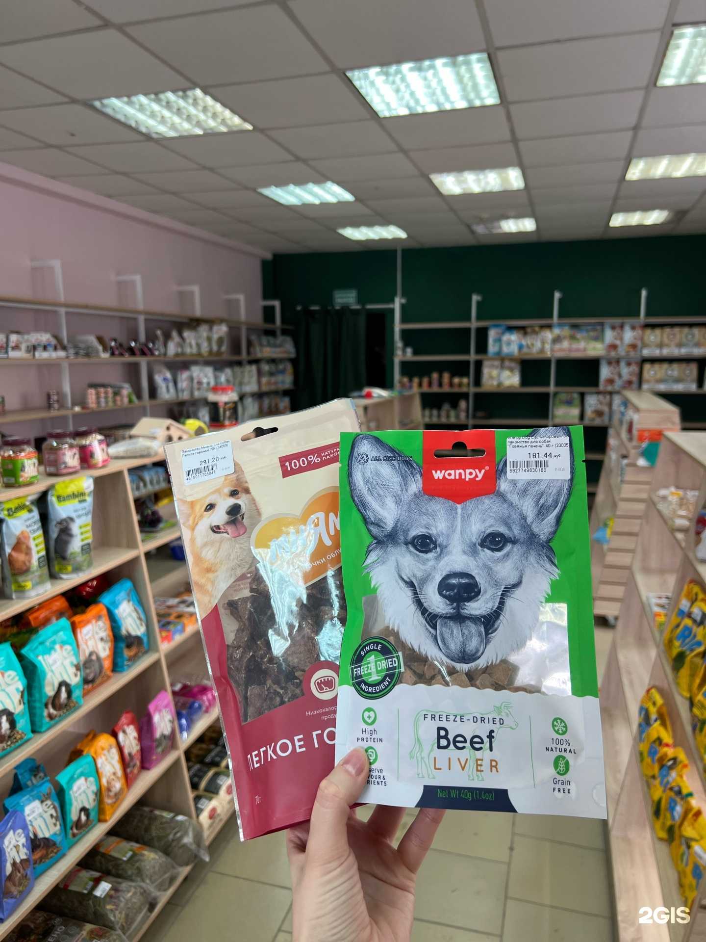 Отзывы на компанию ЛапУсики в г. Омск c фото