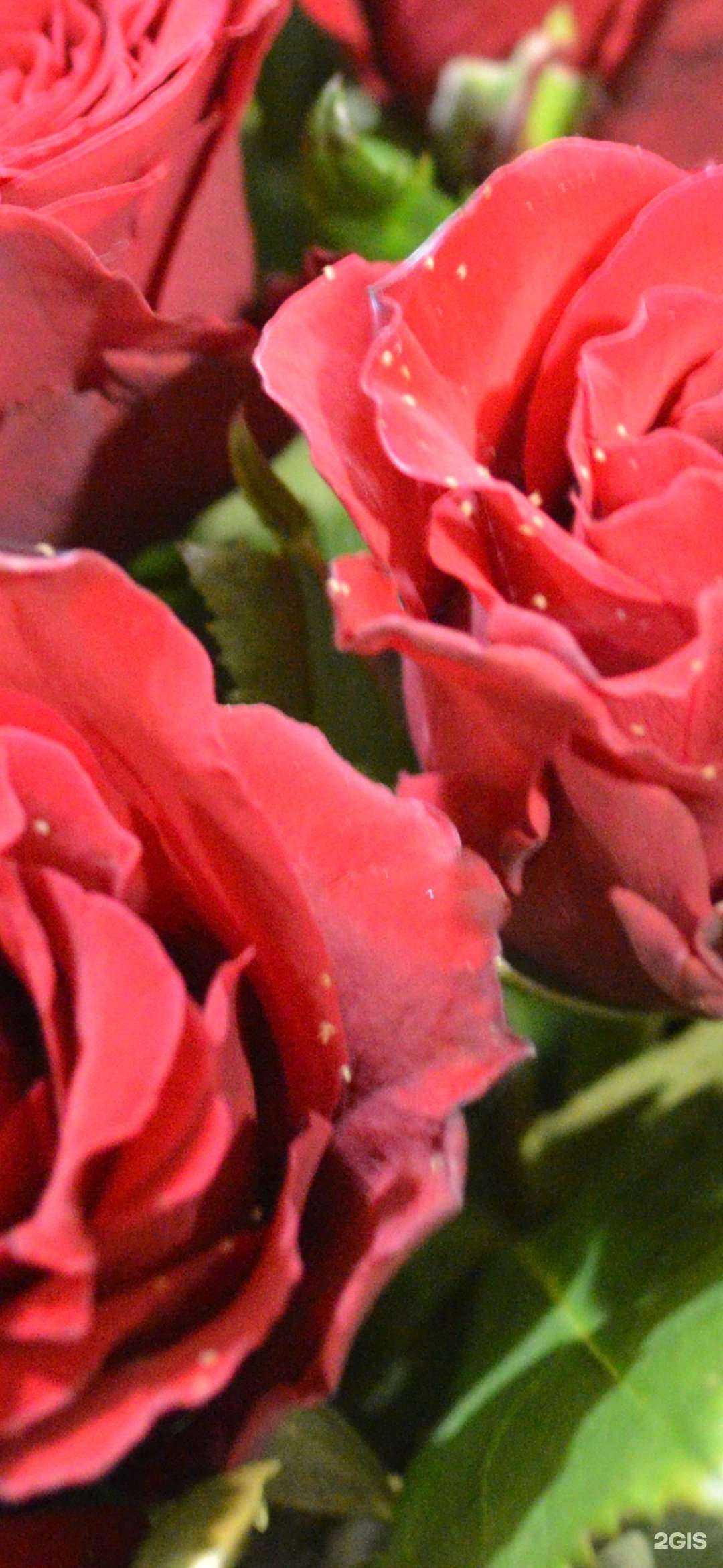 Отзывы на компанию Твой букет в Курске c фото