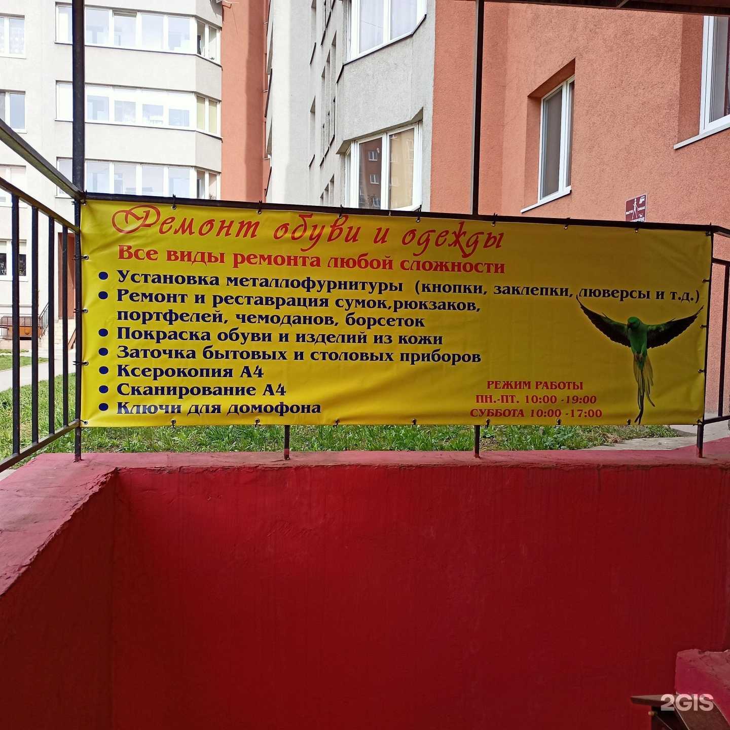 Отзывы на компанию Зелёный попугай в Калининграде c фото