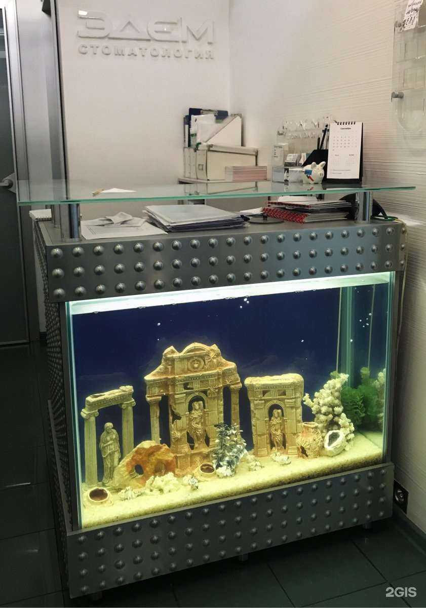 Отзывы на компанию Эдем в Новосибирске c фото