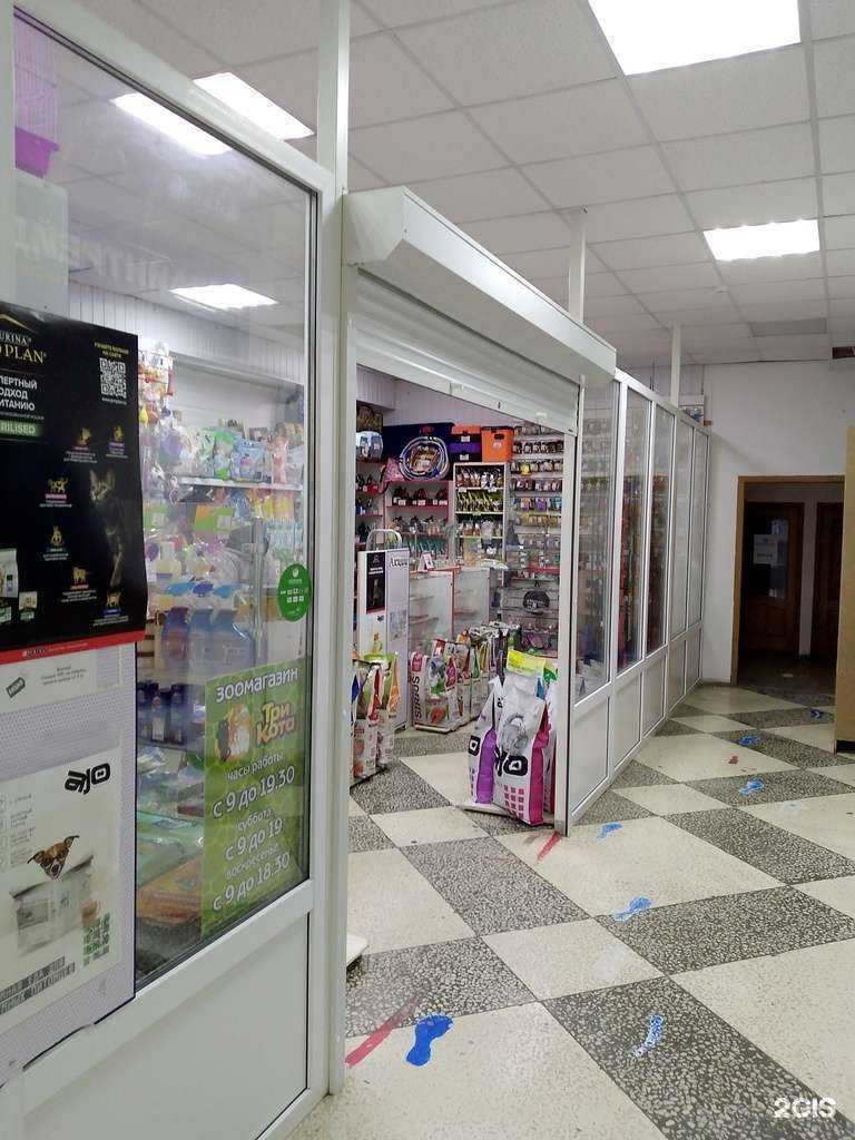 Отзывы на компанию Три кота в г. Воронеж c фото