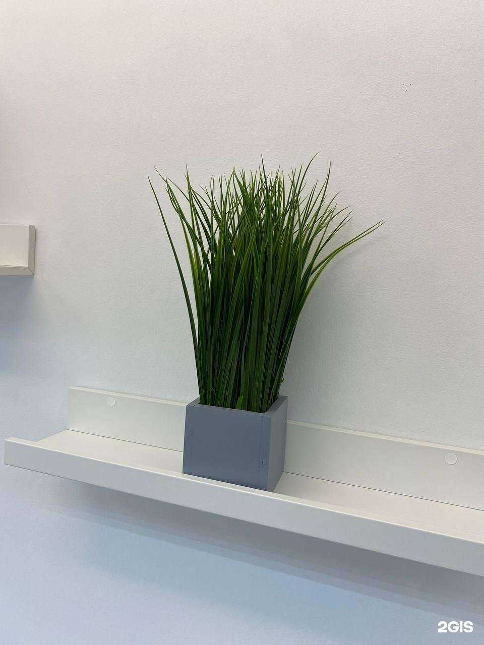 Отзывы на компанию Брусника в г. Сургут c фото