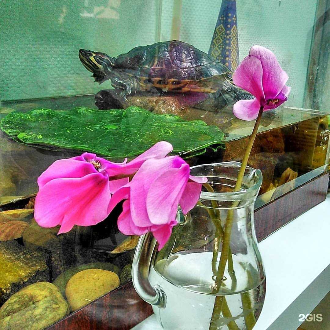 Отзывы на компанию Лучик в г. Волгоград c фото