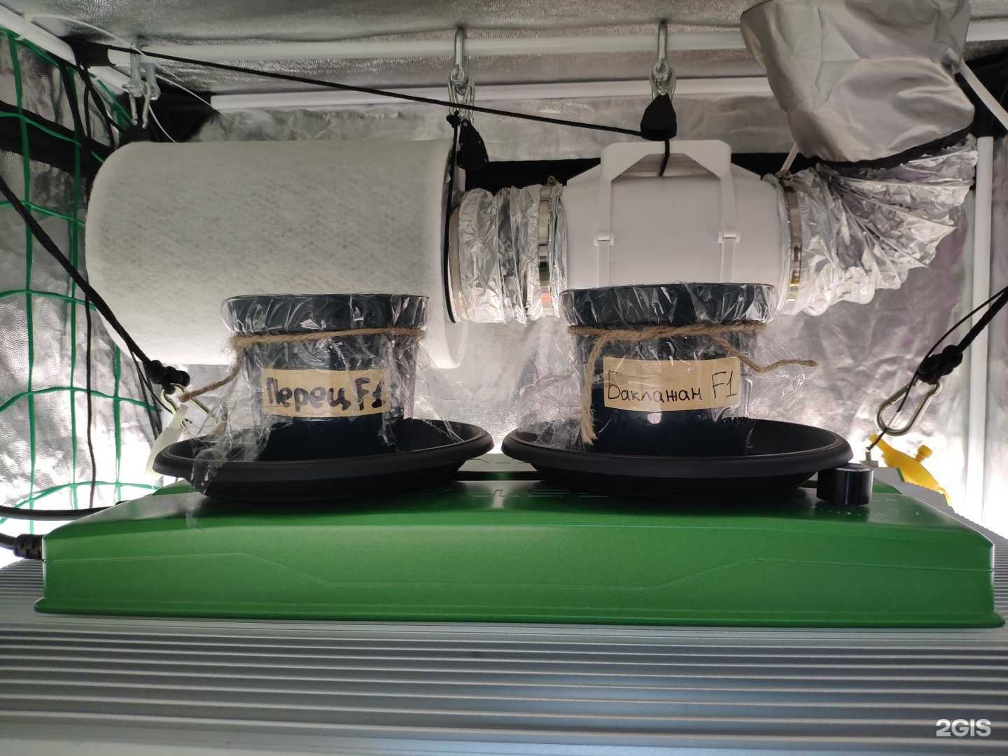 Отзывы на компанию Баклажан в Омске c фото