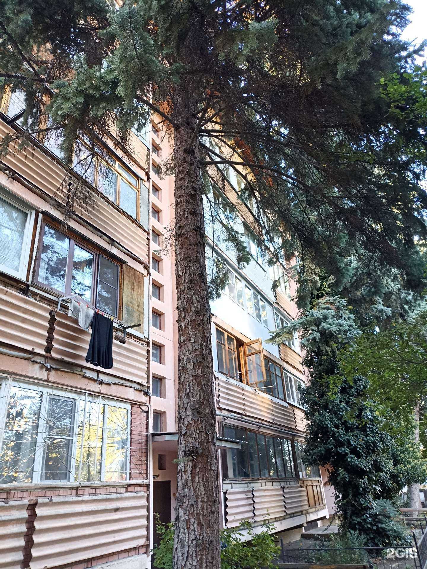 Отзывы на компанию Аудит-Консалтинг в Кисловодске c фото - фотография 2 из 2