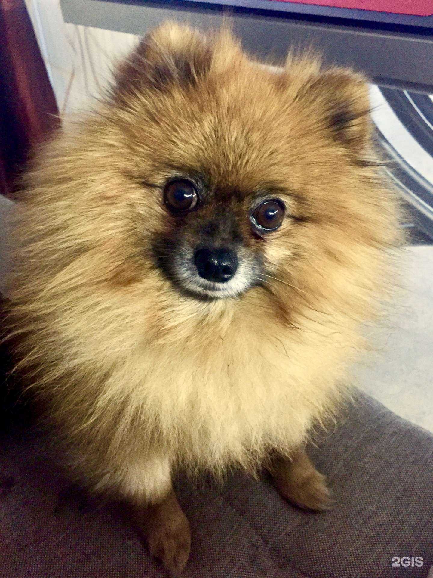 Отзывы на компанию Адвокатский кабинет Шундеева А.В. в г. Челябинск c фото