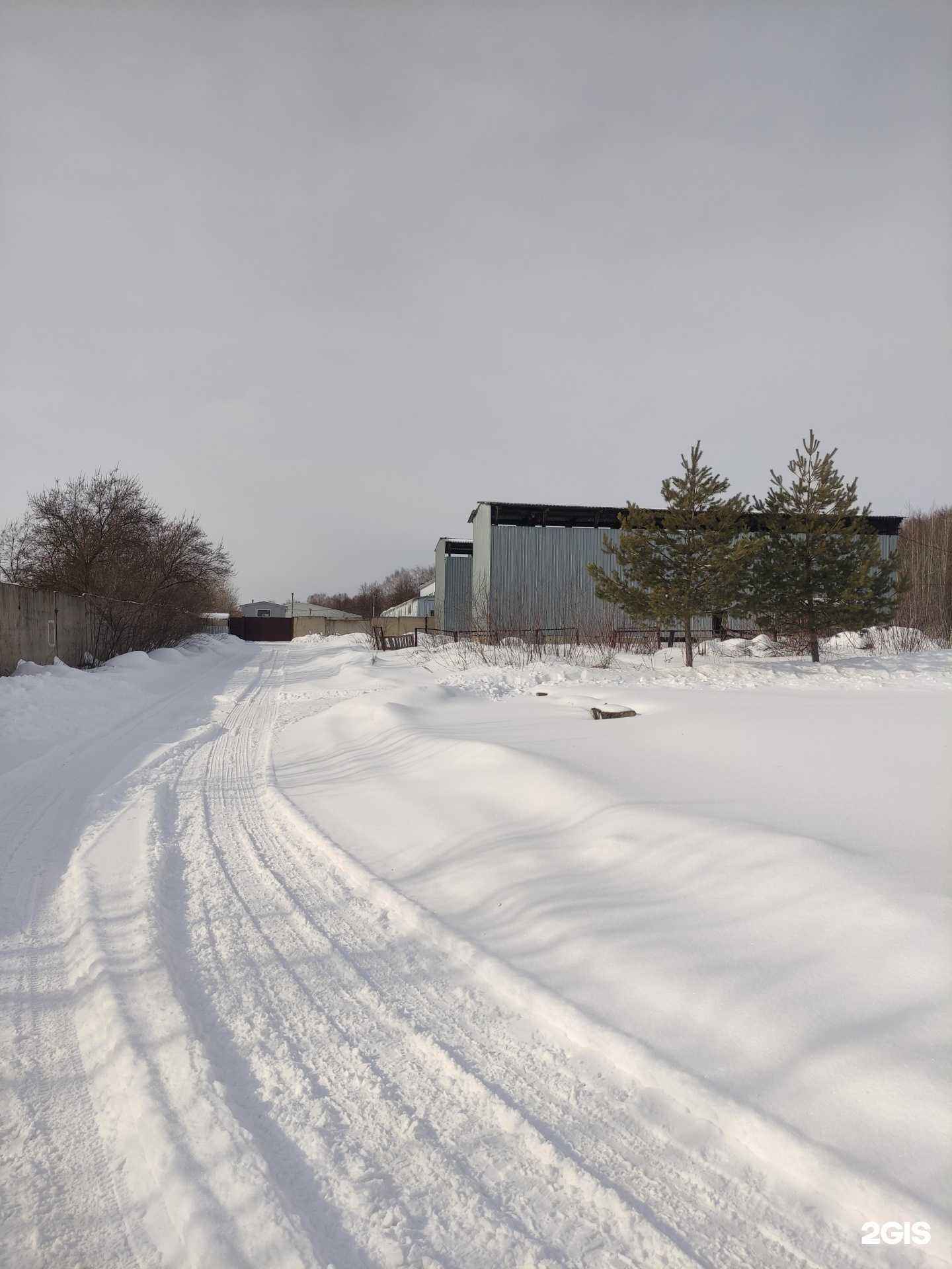 Отзывы на компанию Микас в Коломне c фото