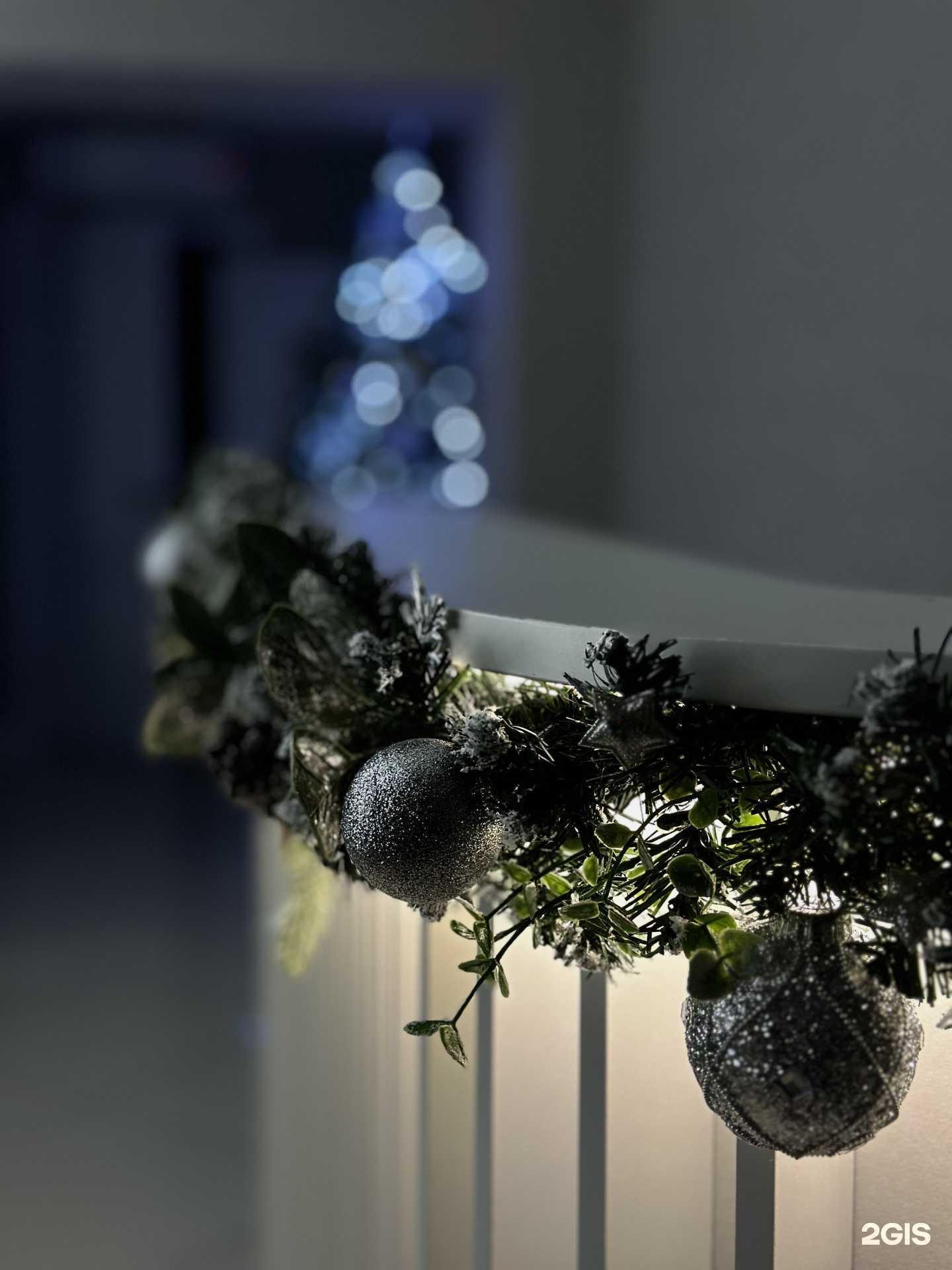 Отзывы на компанию Gorbenko.studio в Омске c фото