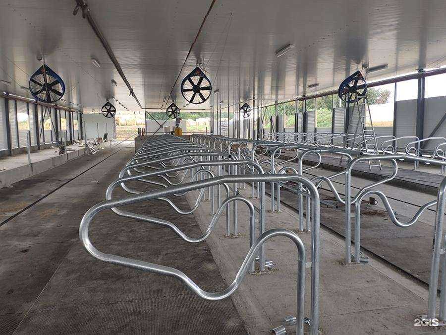 Отзывы на компанию Совмолко в г. Челябинск c фото