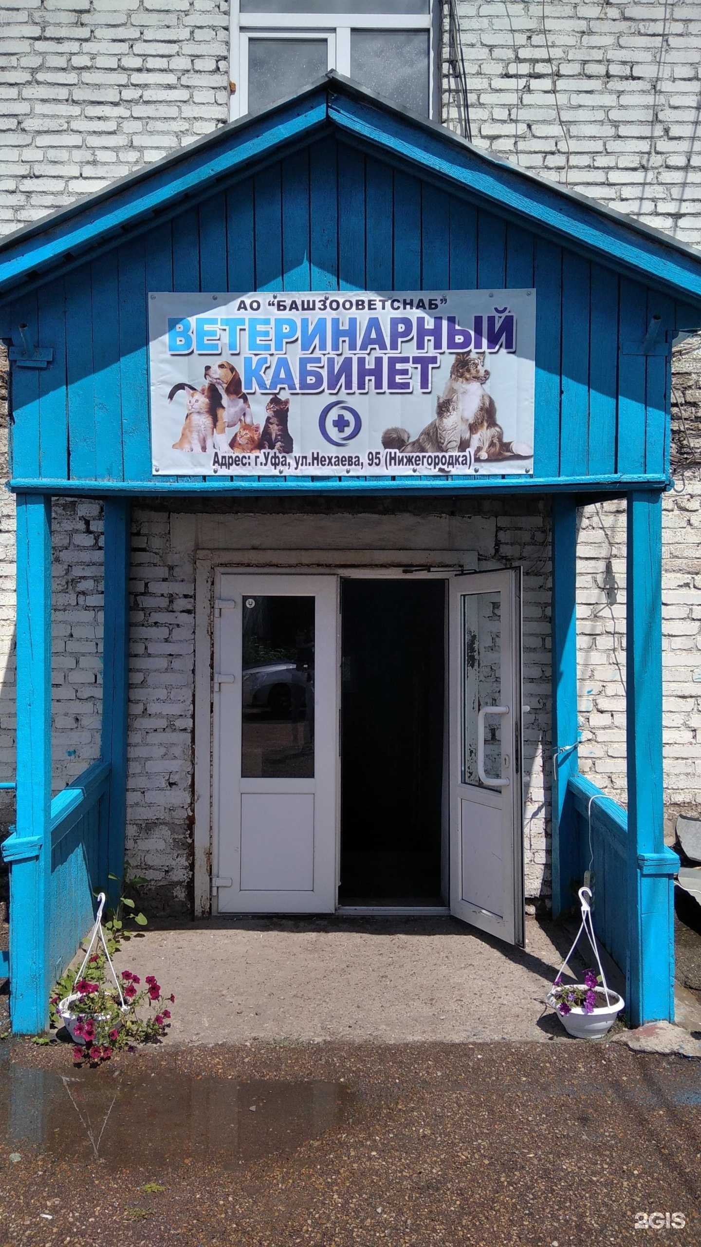 Отзывы на компанию Ветеринарный кабинет в Уфе c фото