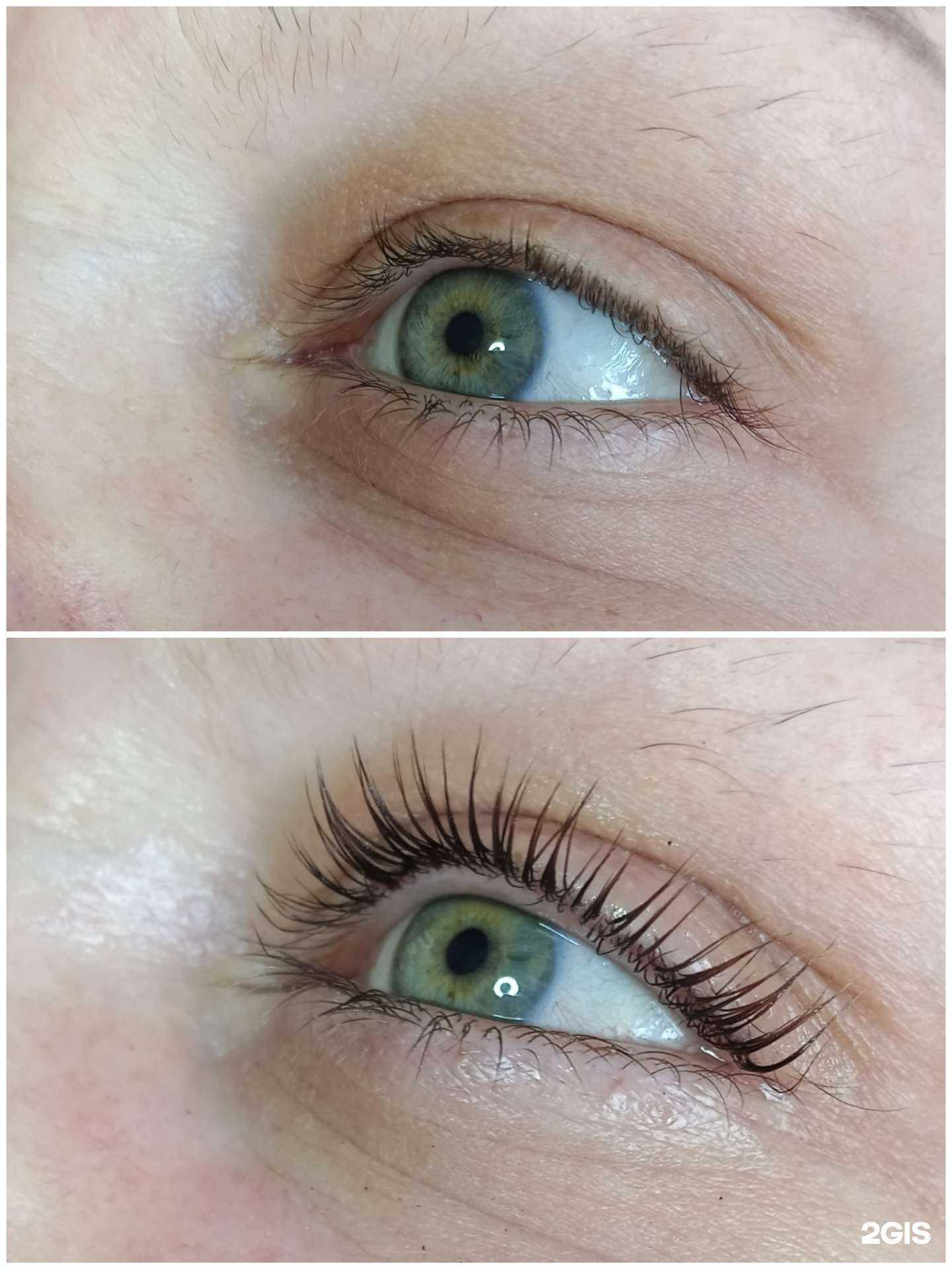 Отзывы на компанию Лиса в Новосибирске c фото