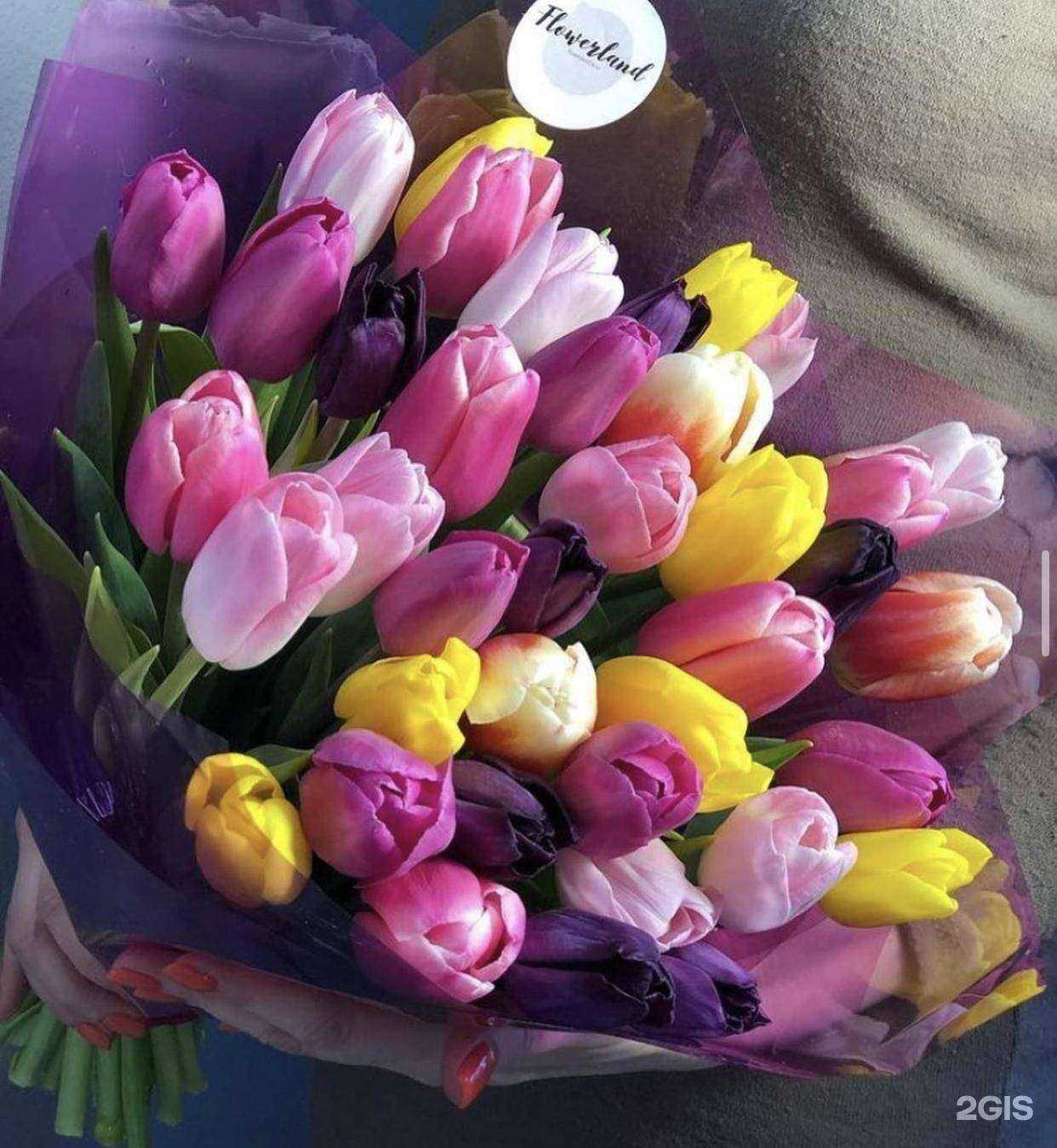 Отзывы на компанию Цветландия в г. Ульяновск c фото