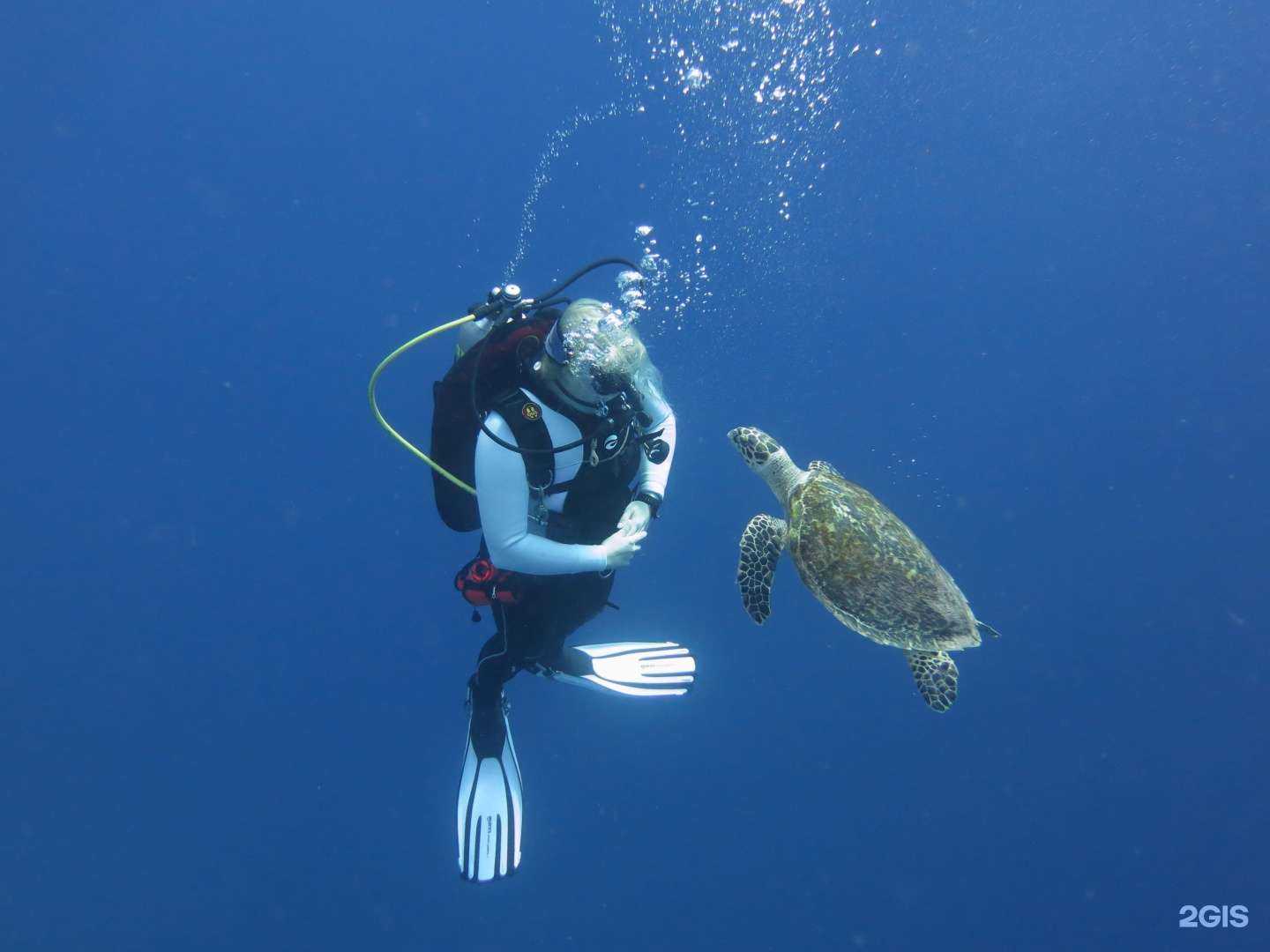 Отзывы на компанию Твоя стихия в г. Тюмень c фото