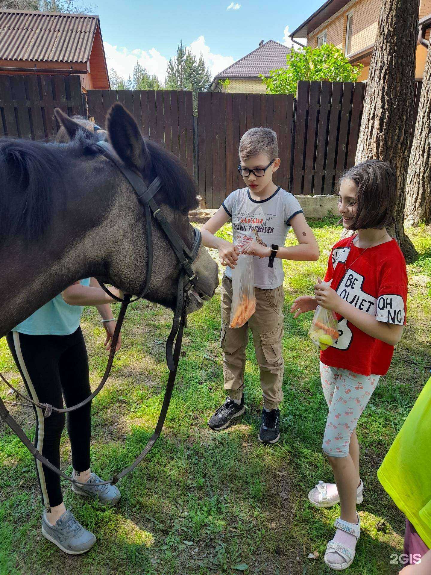Отзывы на компанию Почемучка в Екатеринбурге c фото