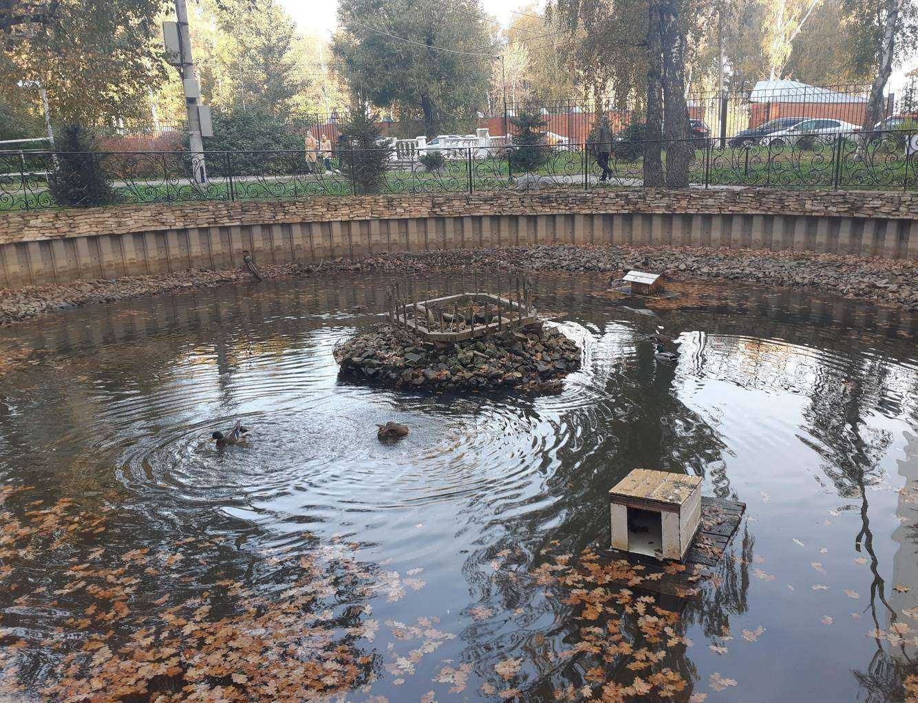 Отзывы на компанию Десофта в Химках c фото