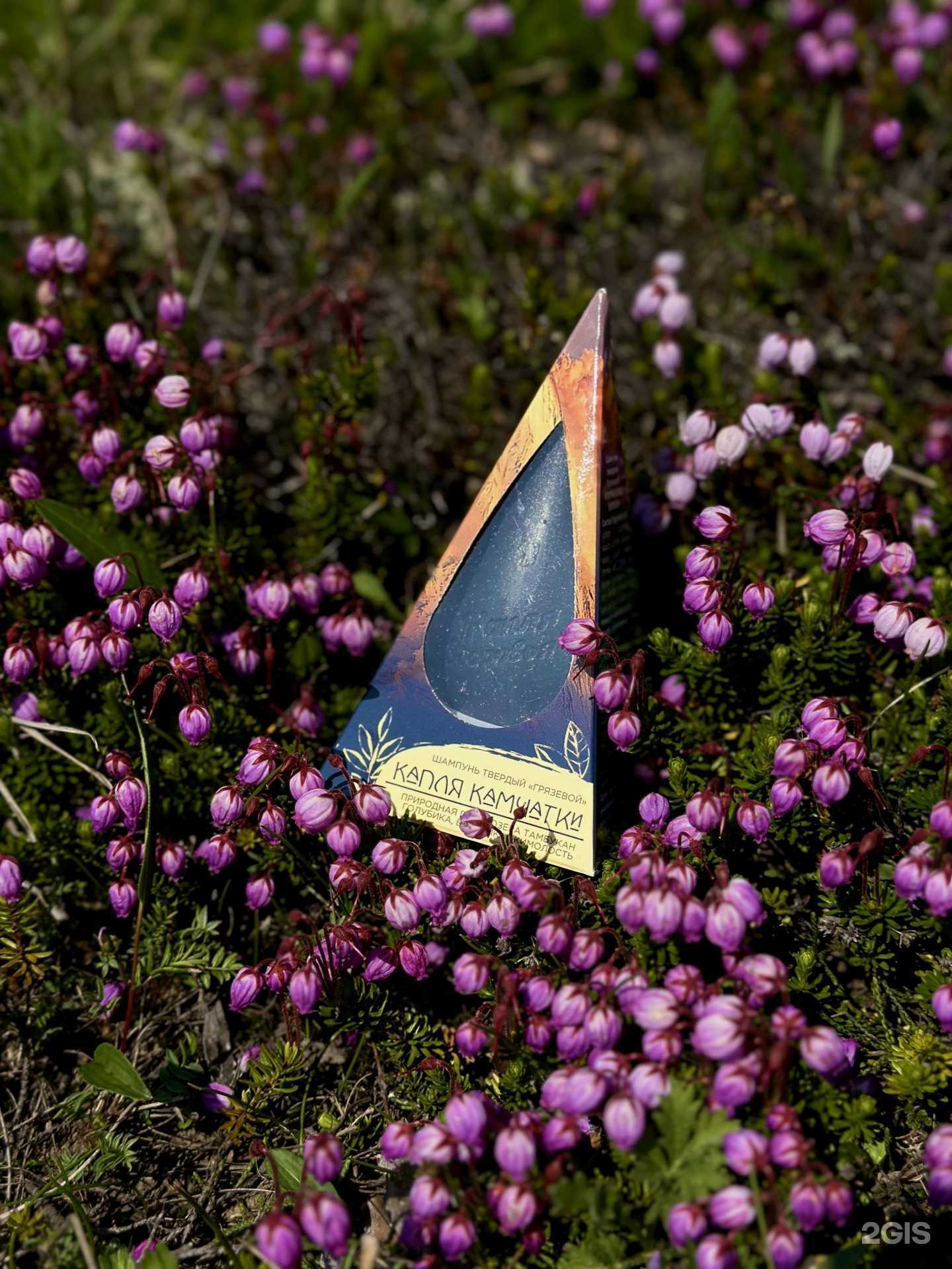 Отзывы на компанию Создавая себя в Петропавловске-Камчатском c фото