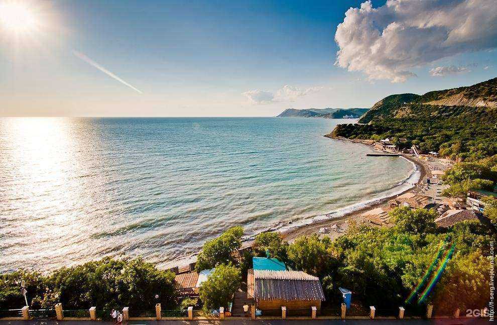 Отзывы на компанию Cortex в г. Анапа c фото