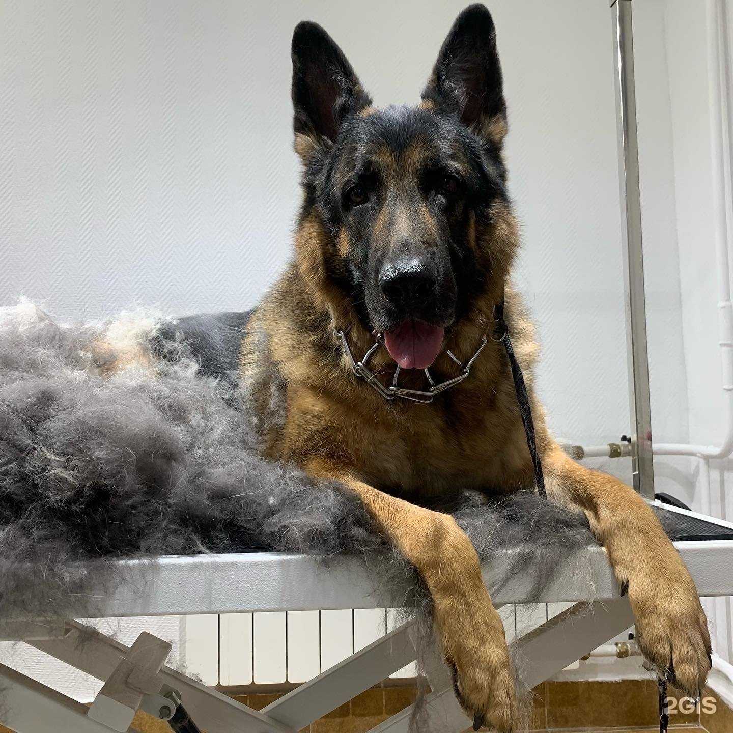 Отзывы на компанию Марсель в г. Комсомольск-на-Амуре c фото