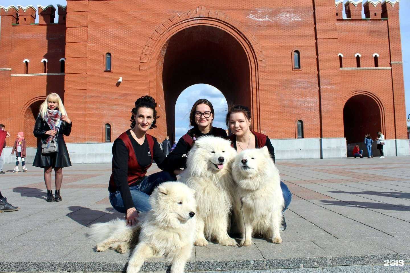 Отзывы на компанию Эмеральд в Йошкар-Оле c фото