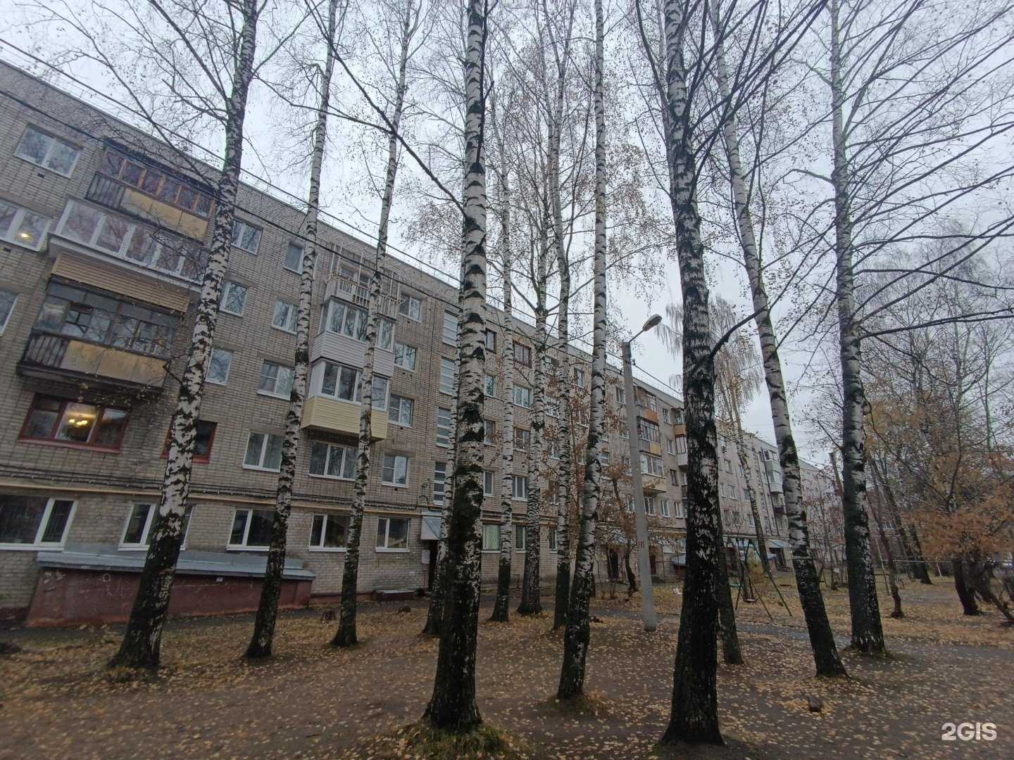 Отзывы на компанию Эволюция в Йошкар-Оле c фото - фотография 2 из 2