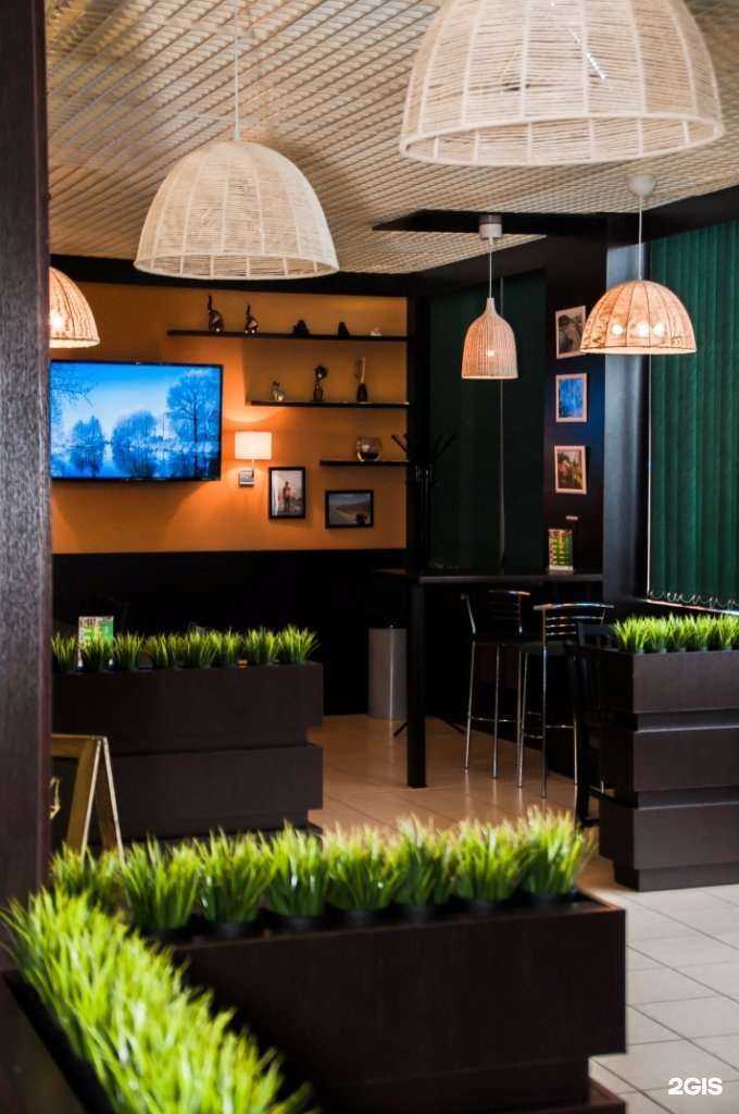 Отзывы на компанию Подорожник в Новосибирске c фото