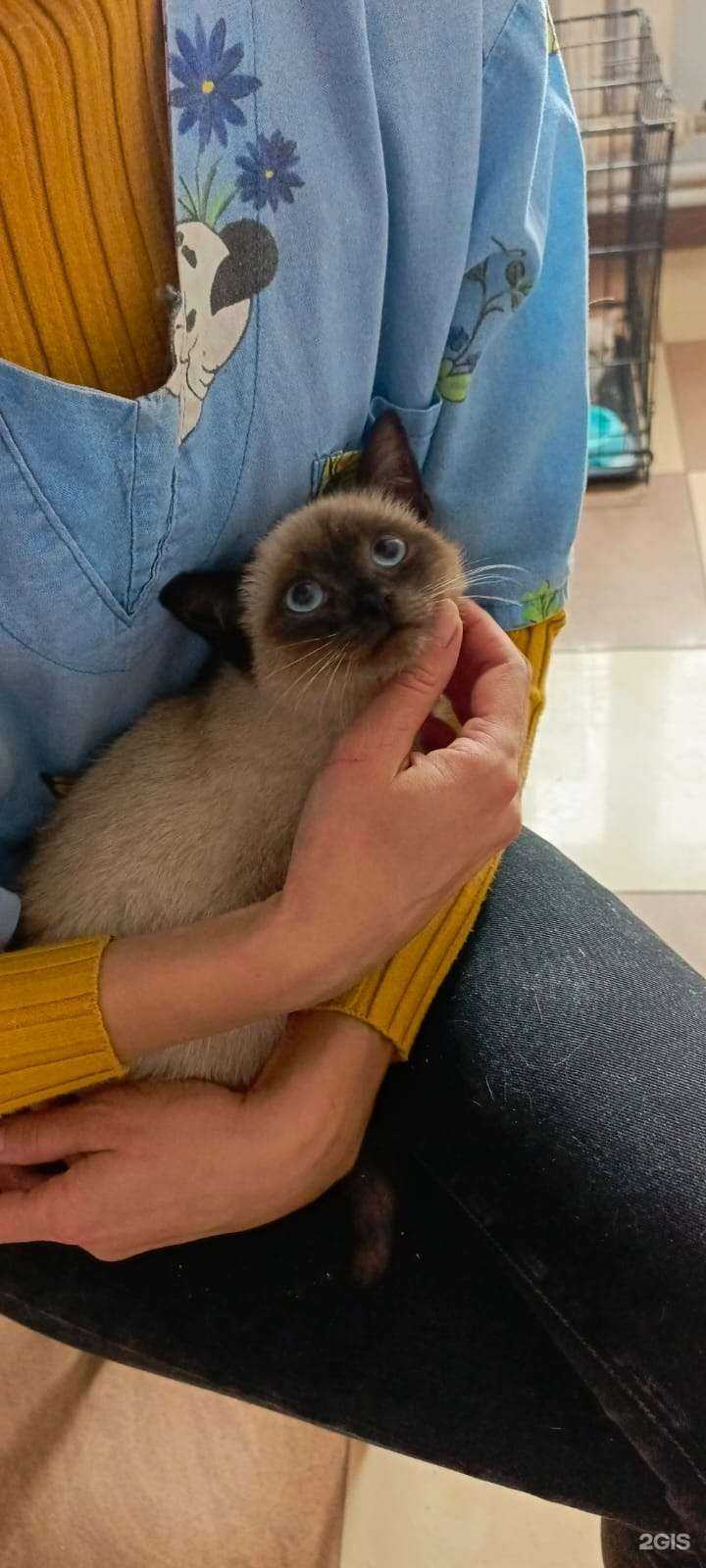 Отзывы на компанию Влажный нос в г. Подольск c фото