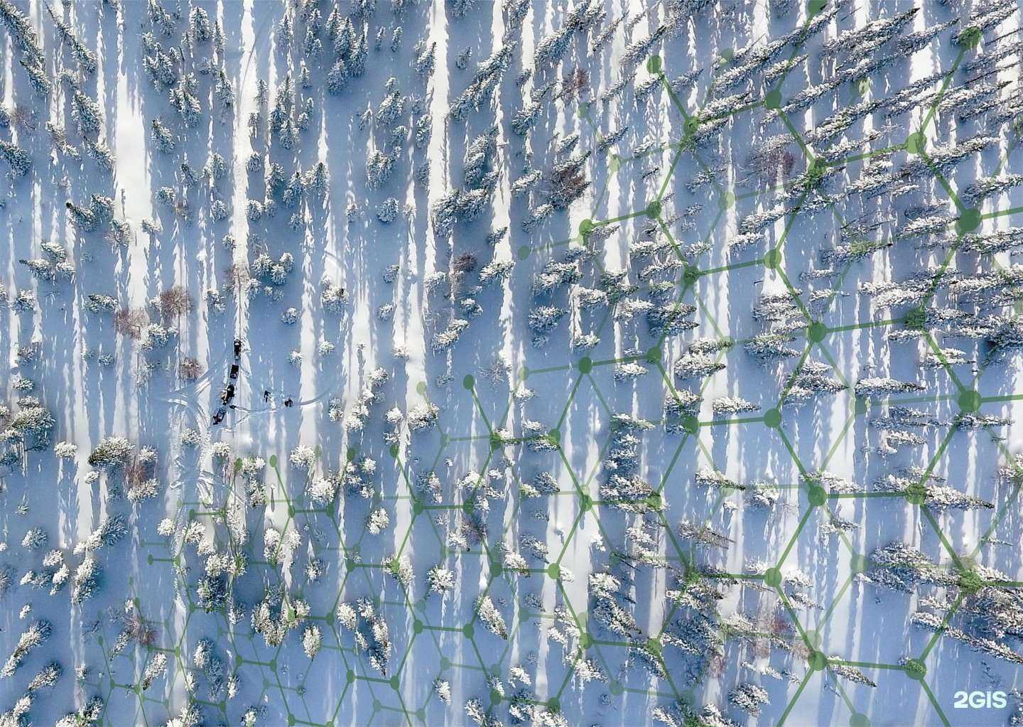 Отзывы на компанию Талтел в Тюмени c фото